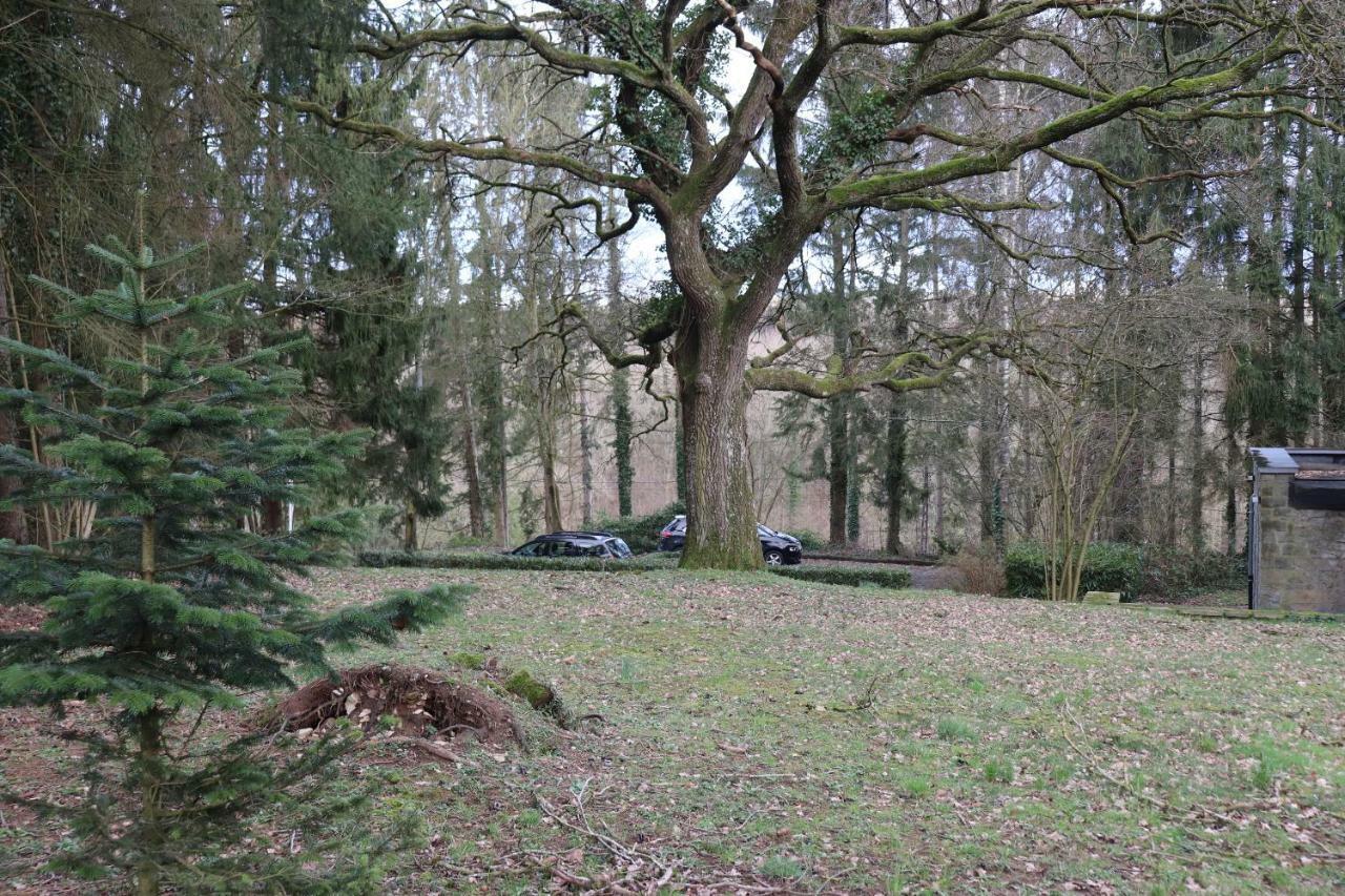 Villa Le Portail Des Ardennes Nassogne Exterior foto